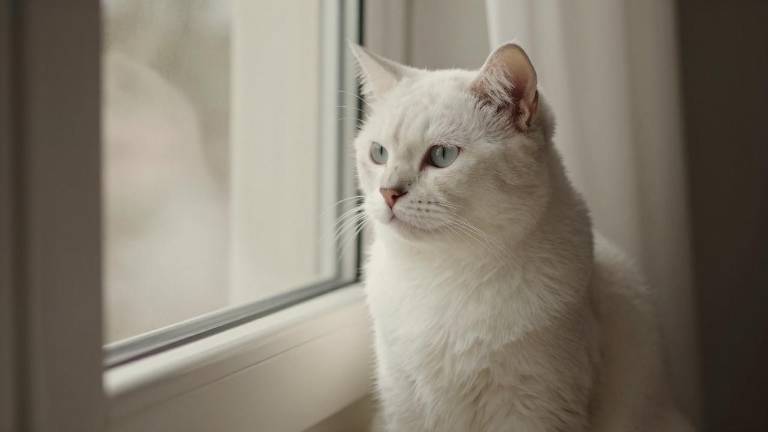 发改委将适时出台措施以城乡居民收入增长支撑消费