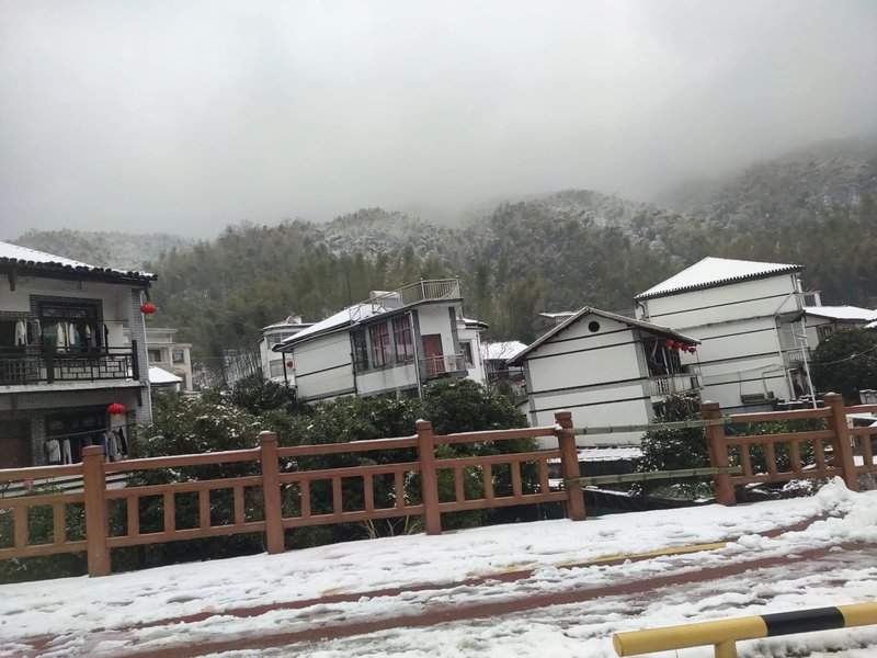 100平房子贴墙布的价格及注意事项