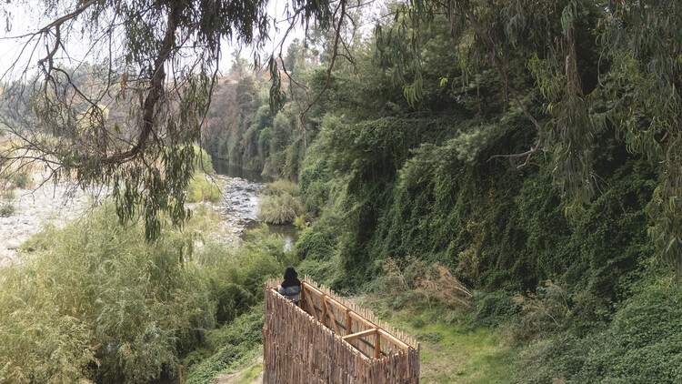 乡村未来图景：2025 年重塑乡村风貌的项目与装置艺术 - 14 的图像 18