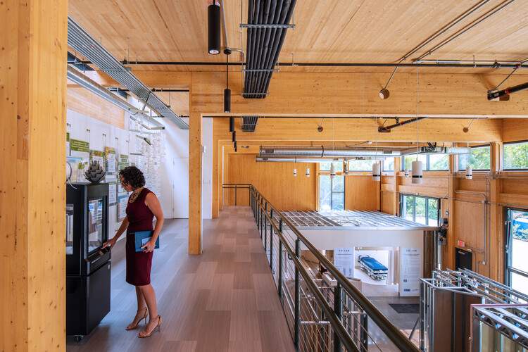 从传统到创新：现代科技如何变革木材的潜力 - 6 的图像 10