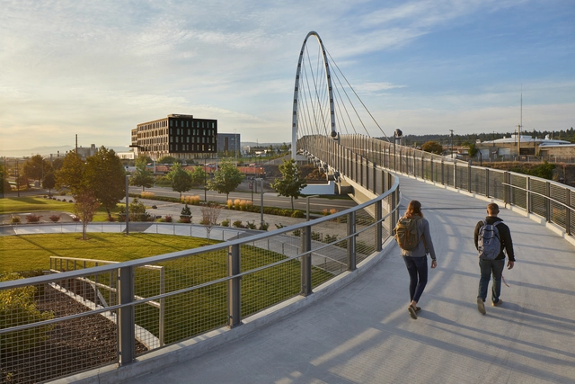 拥抱材料智慧：太平洋西北地区如何推动木材创新