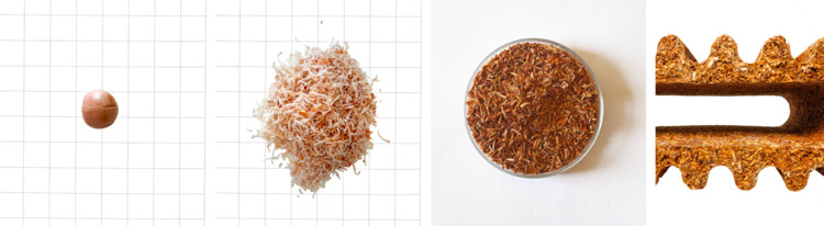 我们能用食物建造吗？Matter Matters Lab 的循环实验 - 18 的图像 18