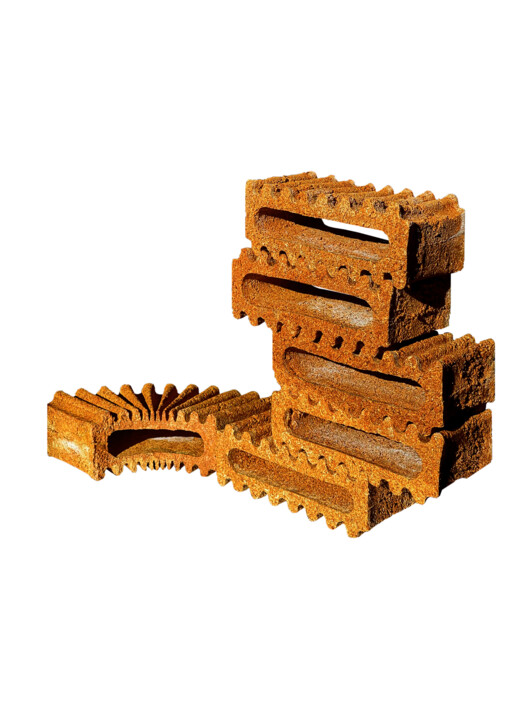 我们能用食物建造吗？Matter Matters Lab 的循环实验 - 7 的图像 18