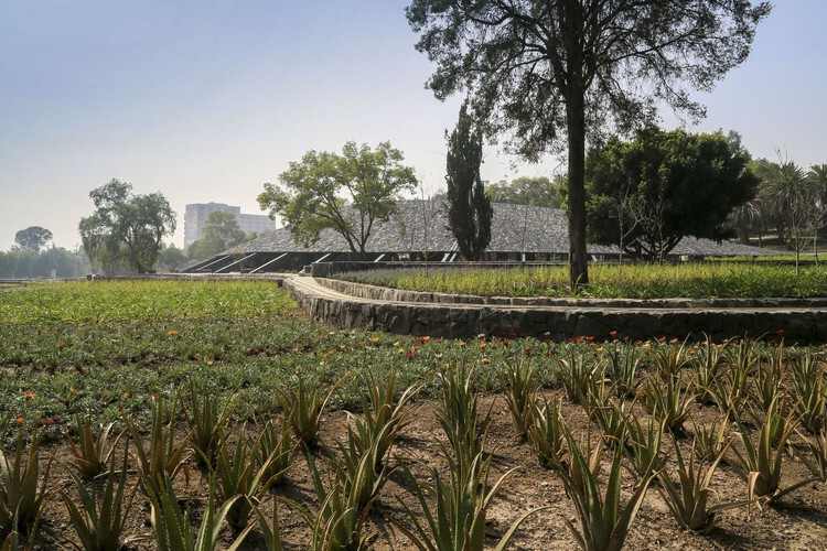 土地的韵律：建筑作为农业生态学的体现 - 29 的图像 52