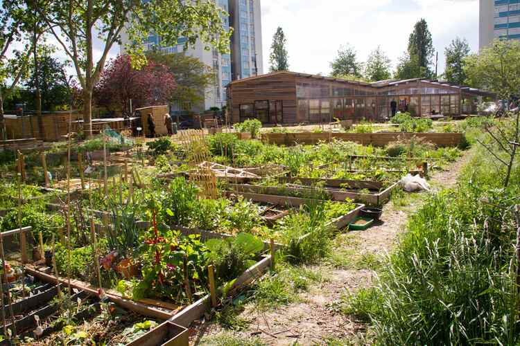 土地的韵律：建筑作为农业生态学的体现 - 38 的图像 52