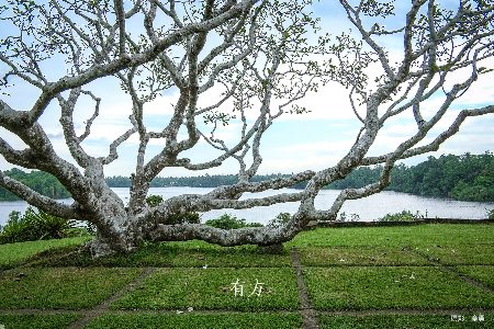 最高:交800抵2000|有方2026旅行预订优惠开放(图15) 最高:交800抵2000|有方2026旅行预订优惠开放(图15)